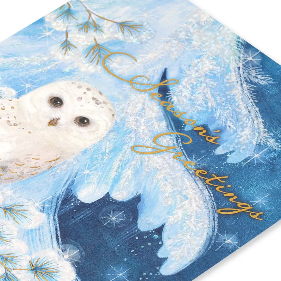 Snowy Owl Holiday Boxed Cards, 14-Count