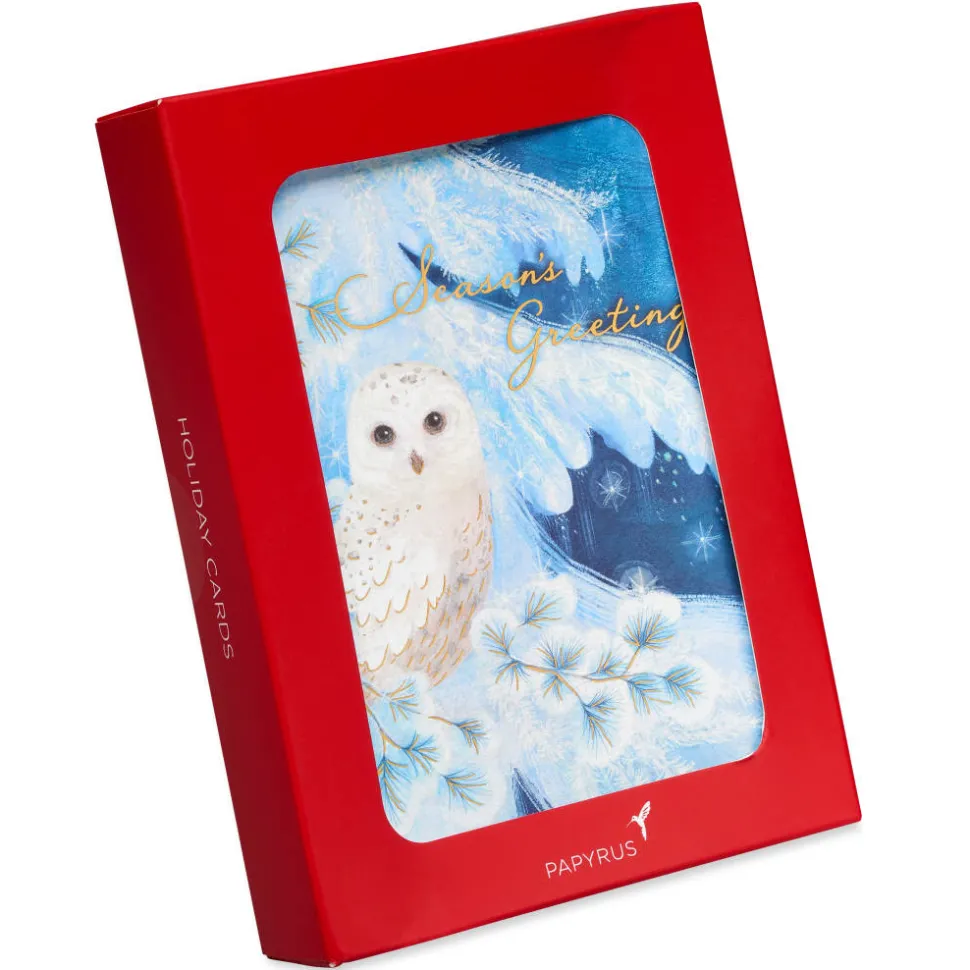 Snowy Owl Holiday Boxed Cards, 14-Count
