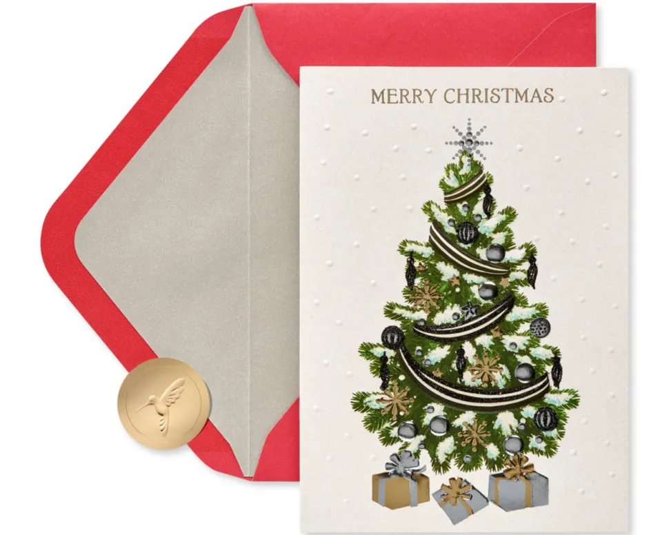 Splendor of the Season Christmas Boxed Cards, 12-Count