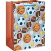 Sports 13″ Large Gift Bag, 1 Bag