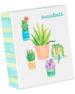 Succulent Thank You Cards with Envelopes, 20-Count