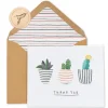 Succulents Boxed Thank You Cards and Envelopes, 20-Count