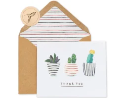 Succulents Boxed Thank You Cards and Envelopes, 20-Count