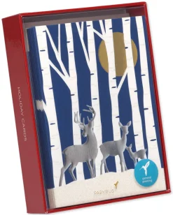 Thinking of You with Warmest Wishes Holiday Boxed Cards, 12-Count
