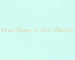 True Love Funny Wedding Greeting Card