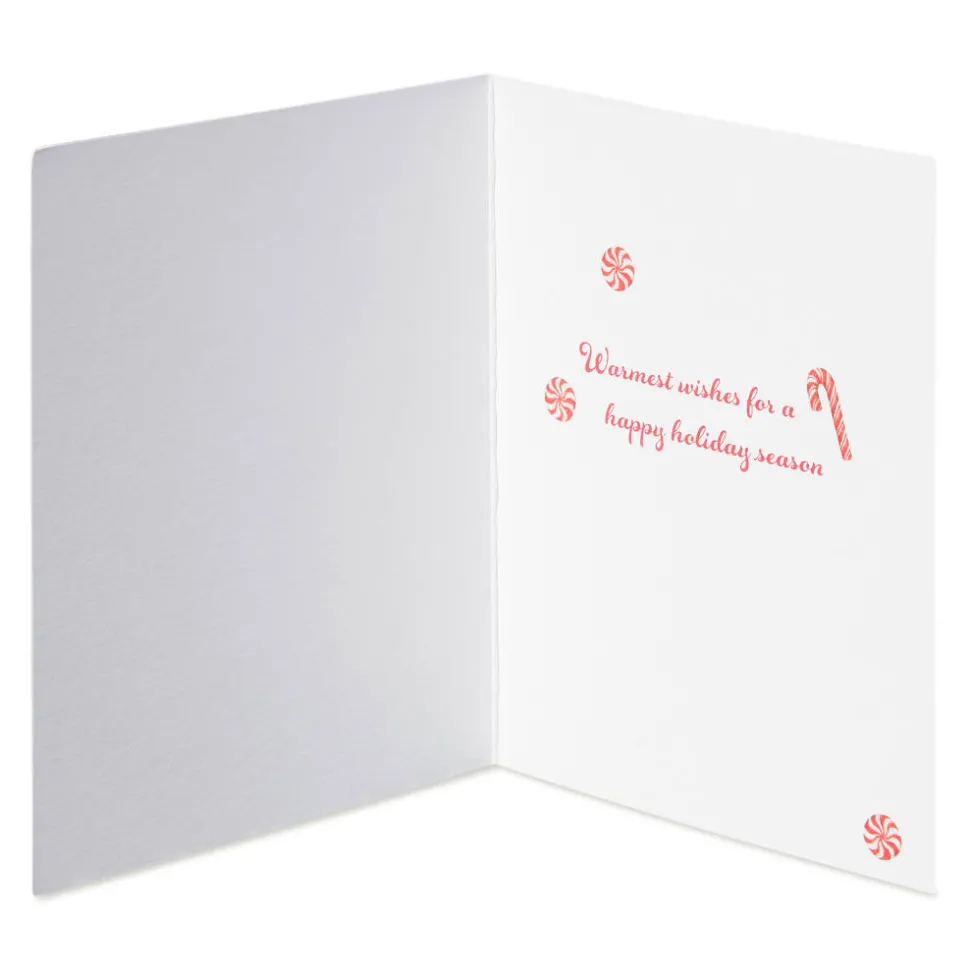 Warmest Wishes Christmas Boxed Cards with Envelopes – Designed by Bella Pilar, 20-Count