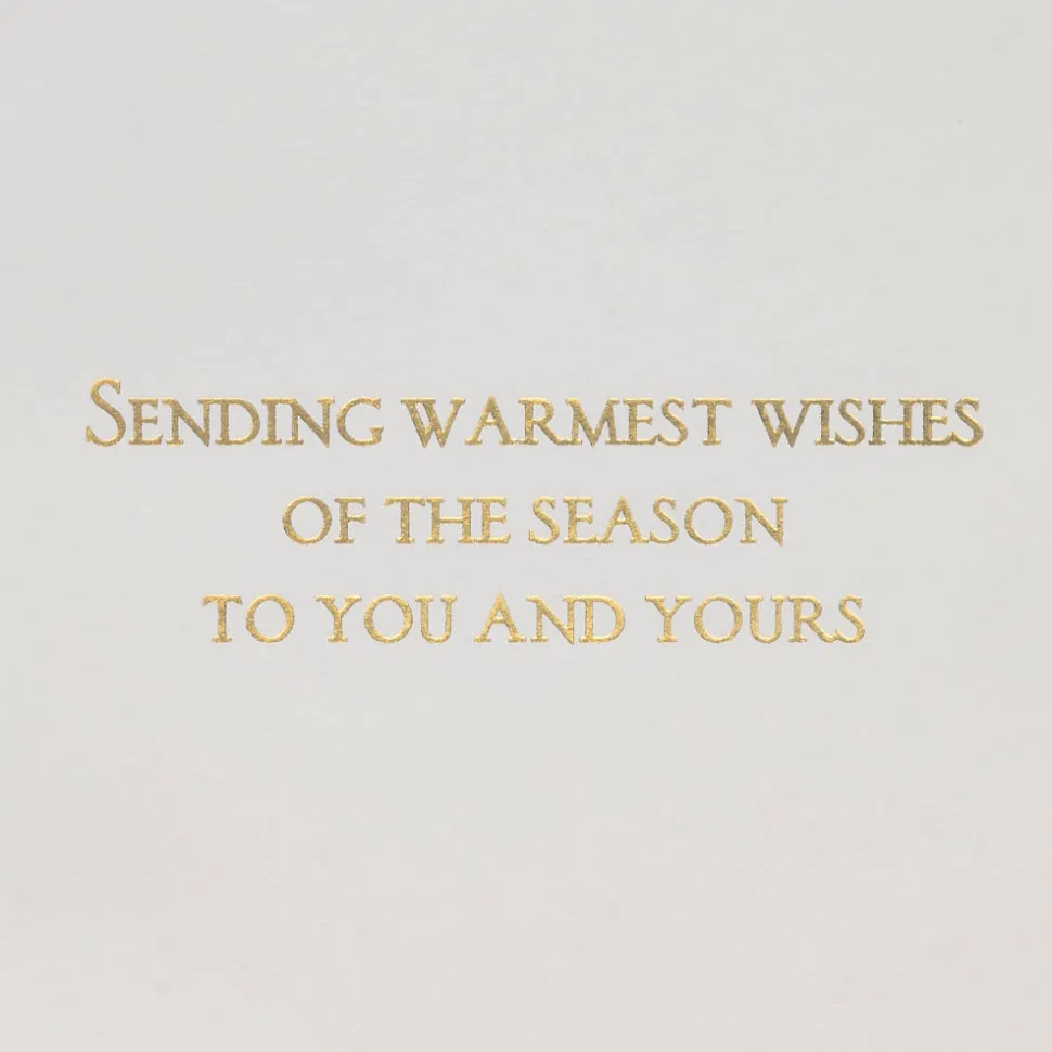 Warmest Wishes Christmas Greeting Card