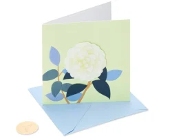 White Rose Friendship Blank Greeting Card