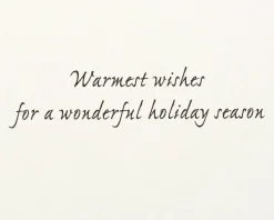 Wonderful Holiday Season Christmas Greeting Card