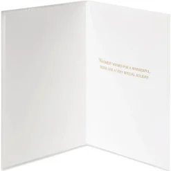 Wonderful Seder Passover Greeting Card – Designed by House of Turnowsky