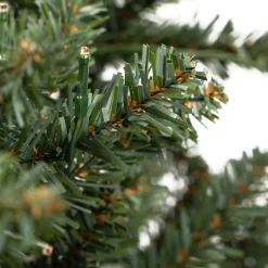 Wreath Blue Spruce