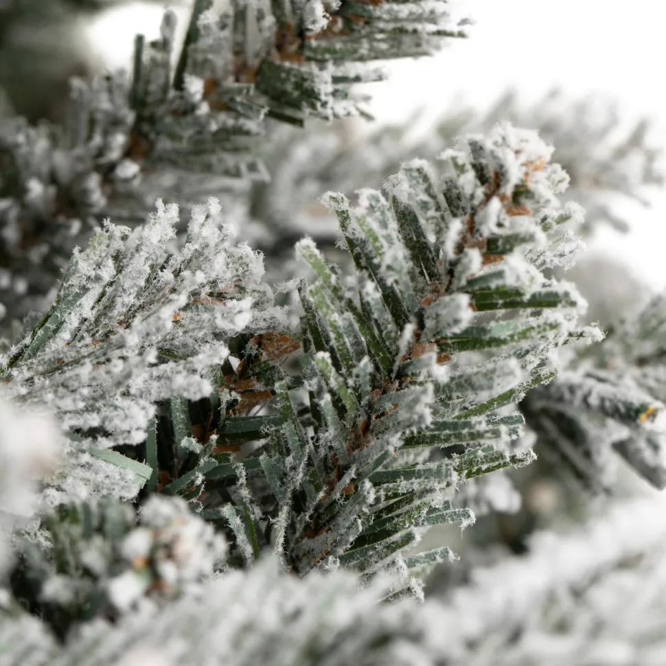 Wreath Blue Spruce Frosted